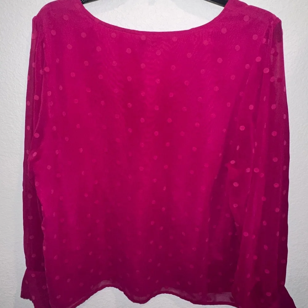 J. Crew Pink Sheer Polka Dot Women's V-Neck Chiffon Top Sz XL - Picture 2 of 2